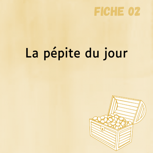 Fiche-pédagogique-Comitys-La-pepite-du-jour