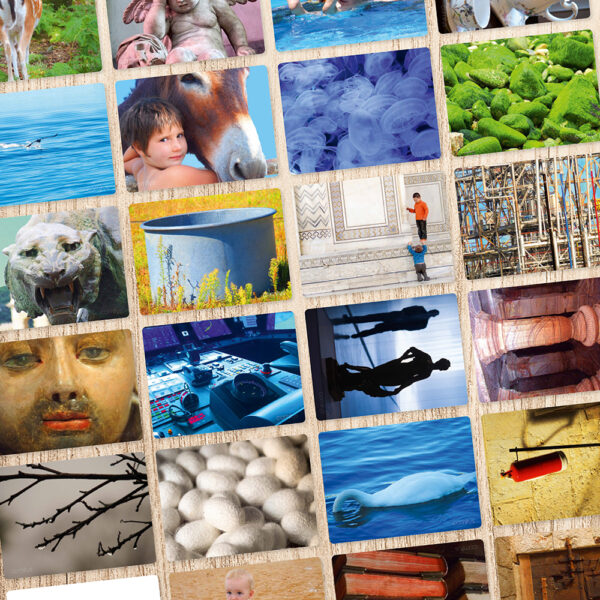 Photo-expression Émotions en couleurs Comitys