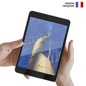 Photo-expression Amour et sexualité numérique Comitys