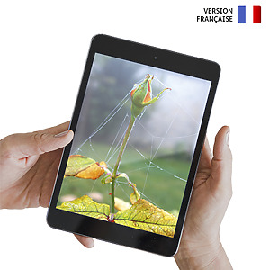 Photo-expression Émotions pdf en couleurs Comitys