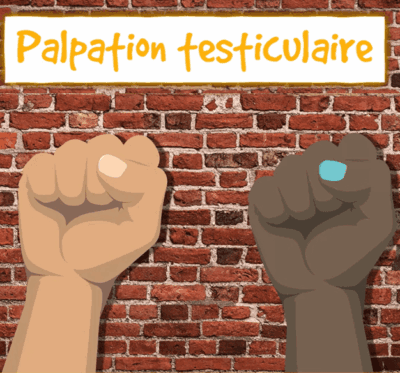 palpation-testiculaire-prevention-cancer
